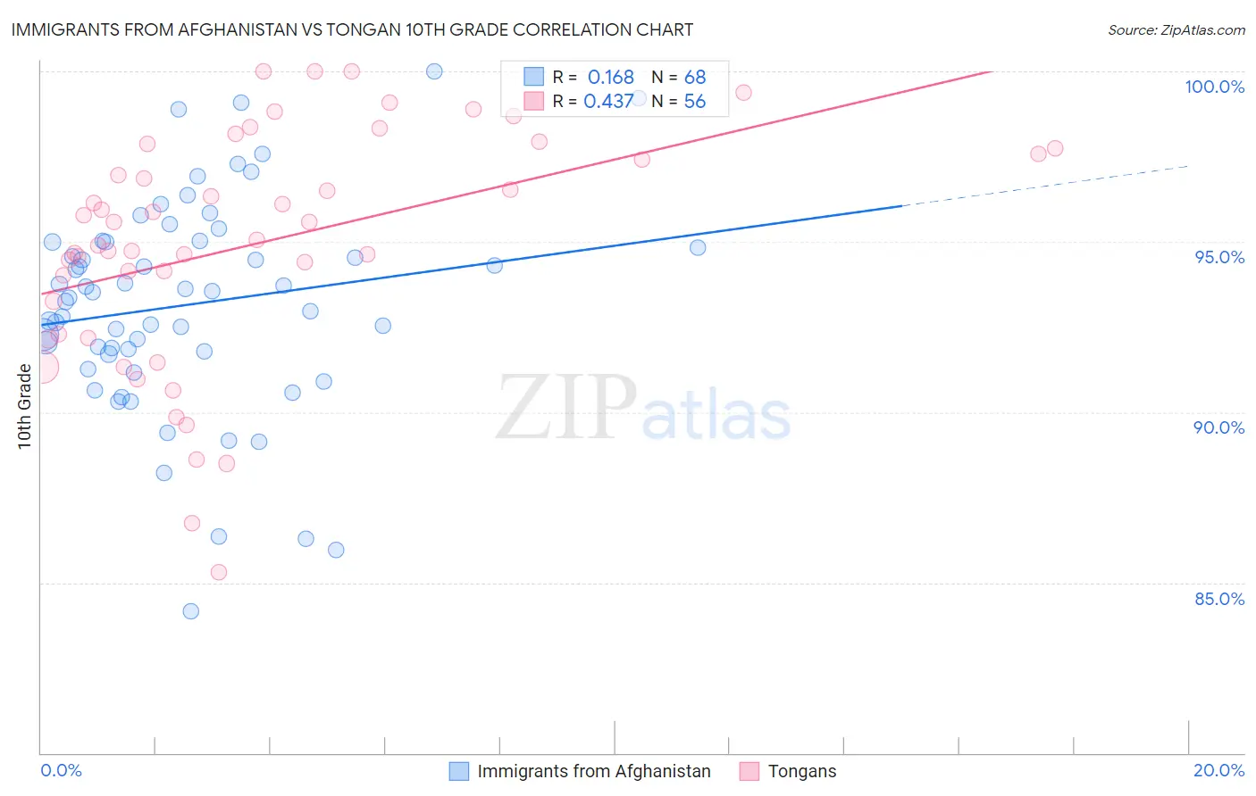 Immigrants from Afghanistan vs Tongan 10th Grade