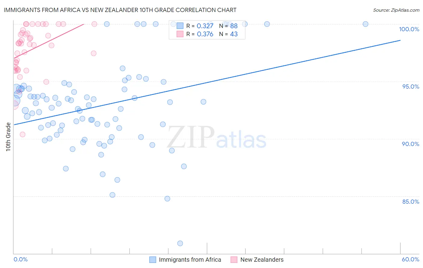 Immigrants from Africa vs New Zealander 10th Grade