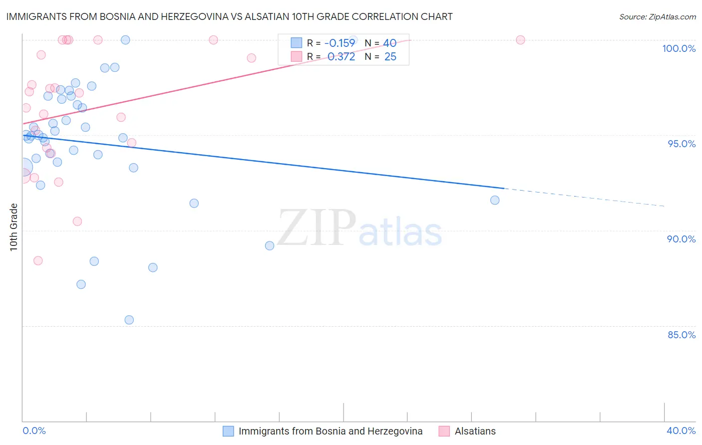 Immigrants from Bosnia and Herzegovina vs Alsatian 10th Grade