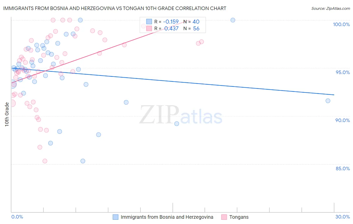 Immigrants from Bosnia and Herzegovina vs Tongan 10th Grade