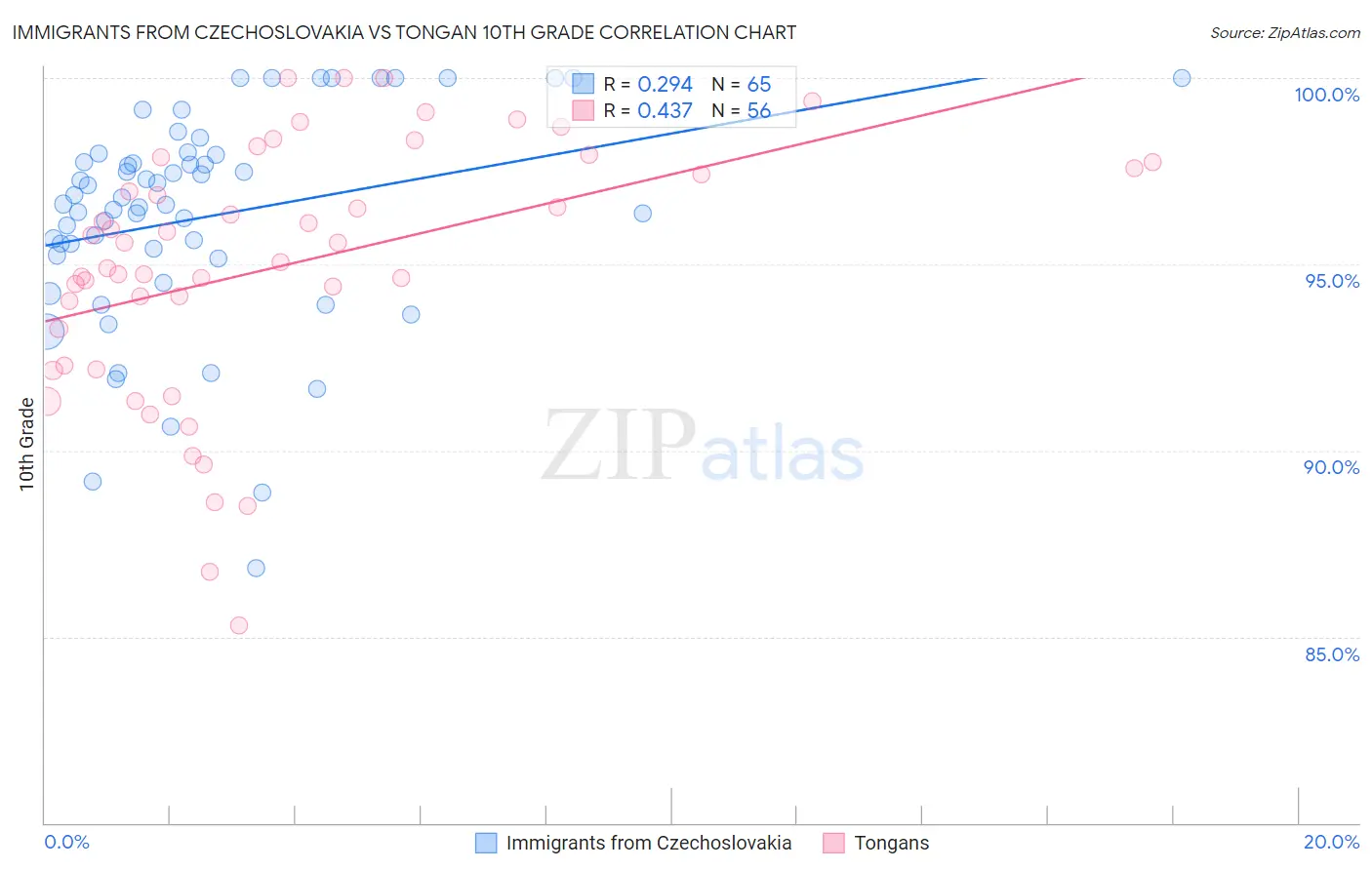 Immigrants from Czechoslovakia vs Tongan 10th Grade