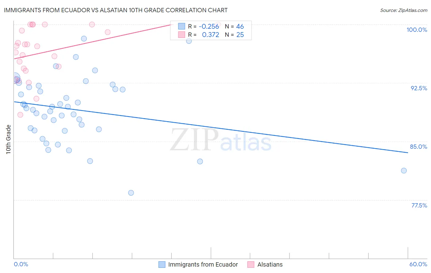 Immigrants from Ecuador vs Alsatian 10th Grade