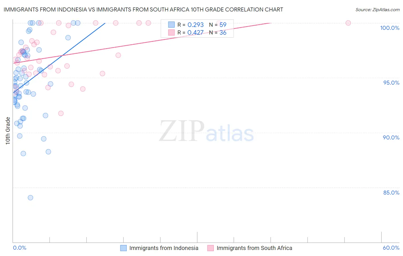 Immigrants from Indonesia vs Immigrants from South Africa 10th Grade
