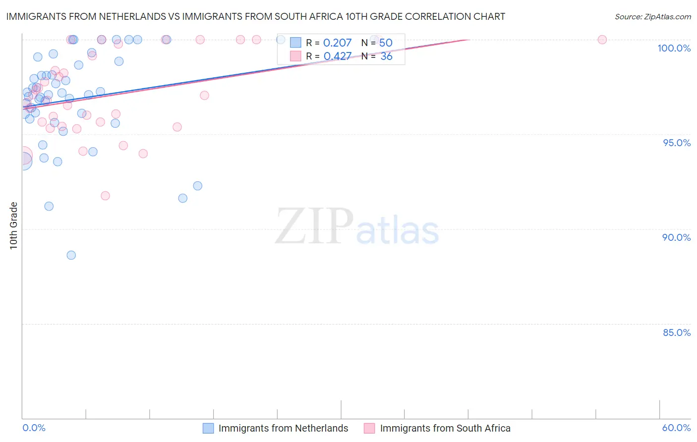Immigrants from Netherlands vs Immigrants from South Africa 10th Grade