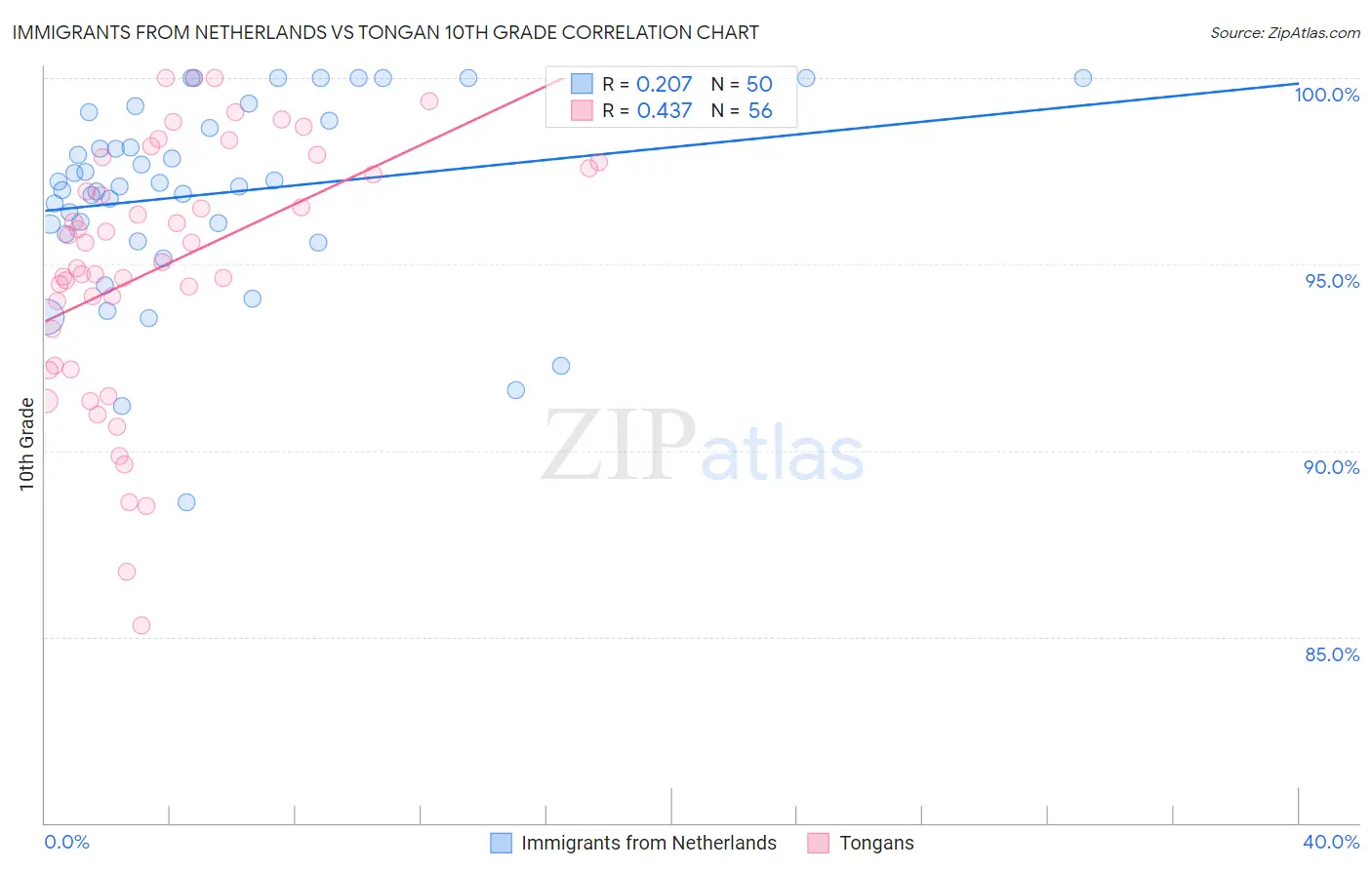 Immigrants from Netherlands vs Tongan 10th Grade
