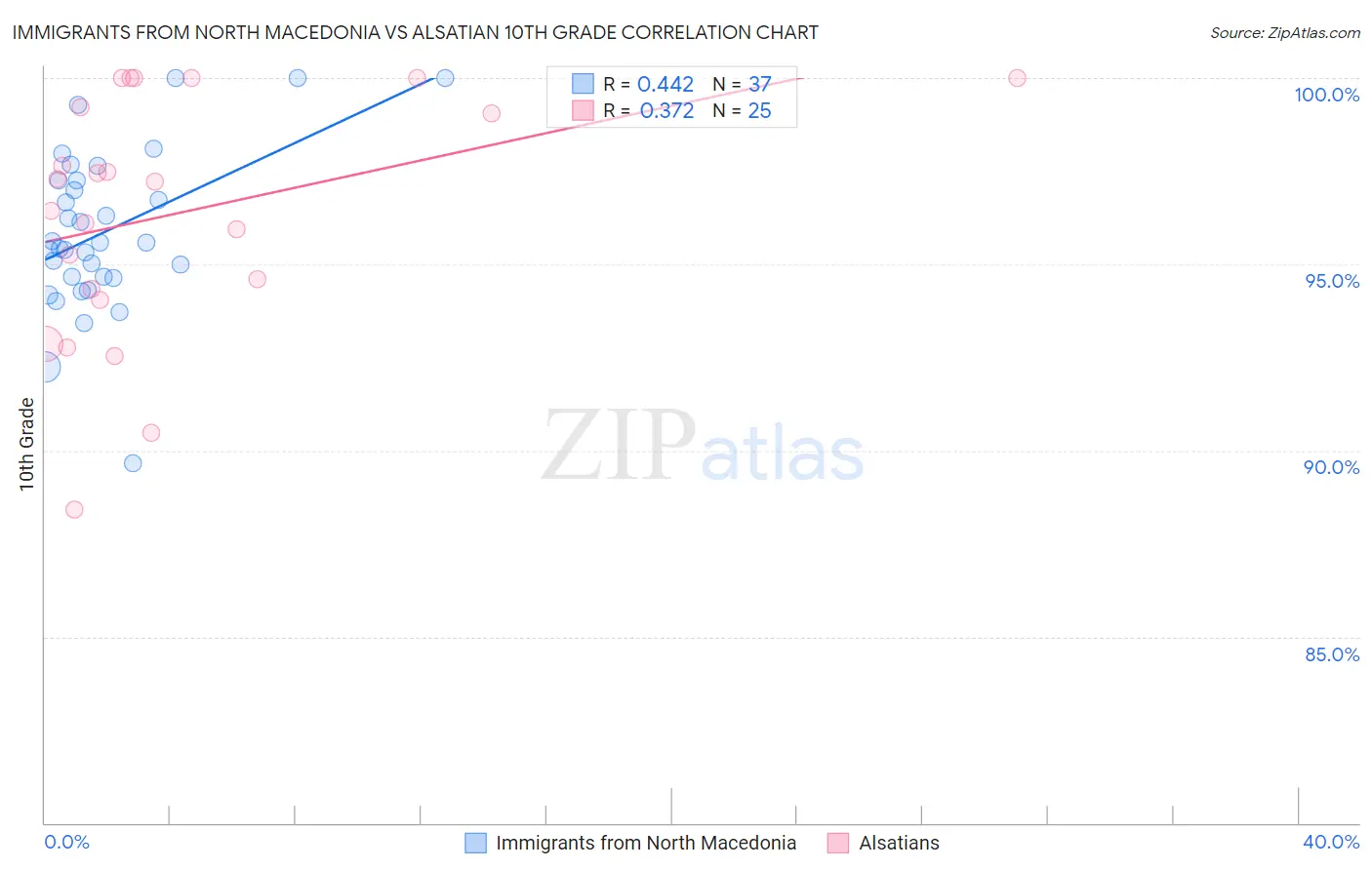 Immigrants from North Macedonia vs Alsatian 10th Grade