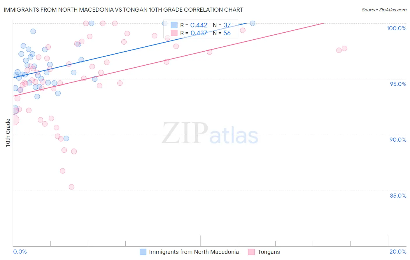 Immigrants from North Macedonia vs Tongan 10th Grade