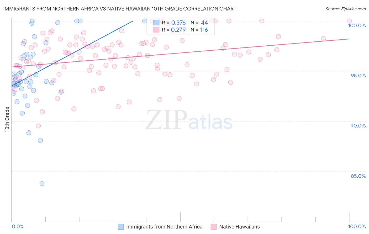 Immigrants from Northern Africa vs Native Hawaiian 10th Grade