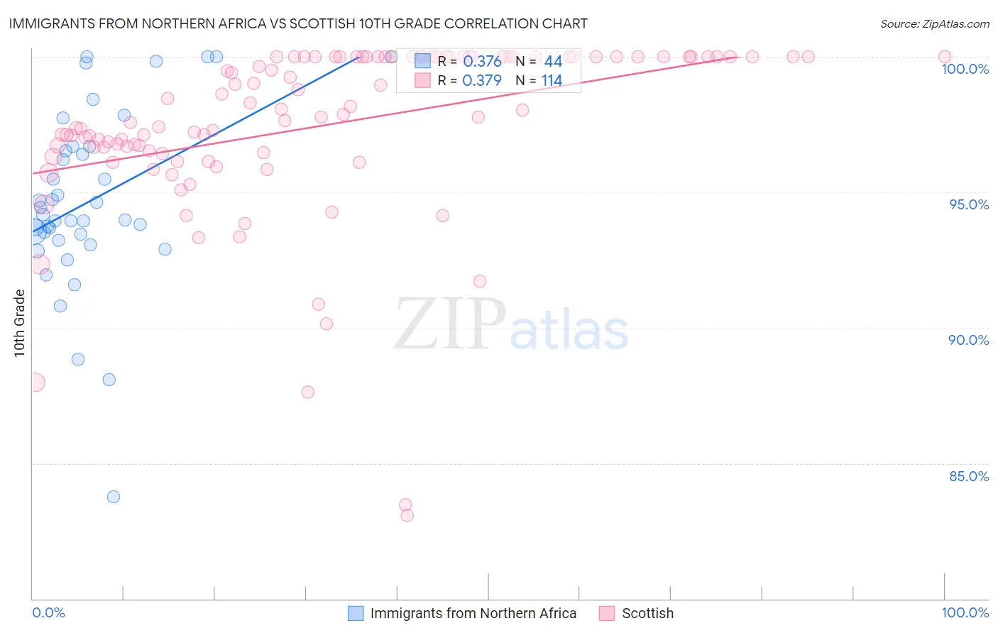 Immigrants from Northern Africa vs Scottish 10th Grade