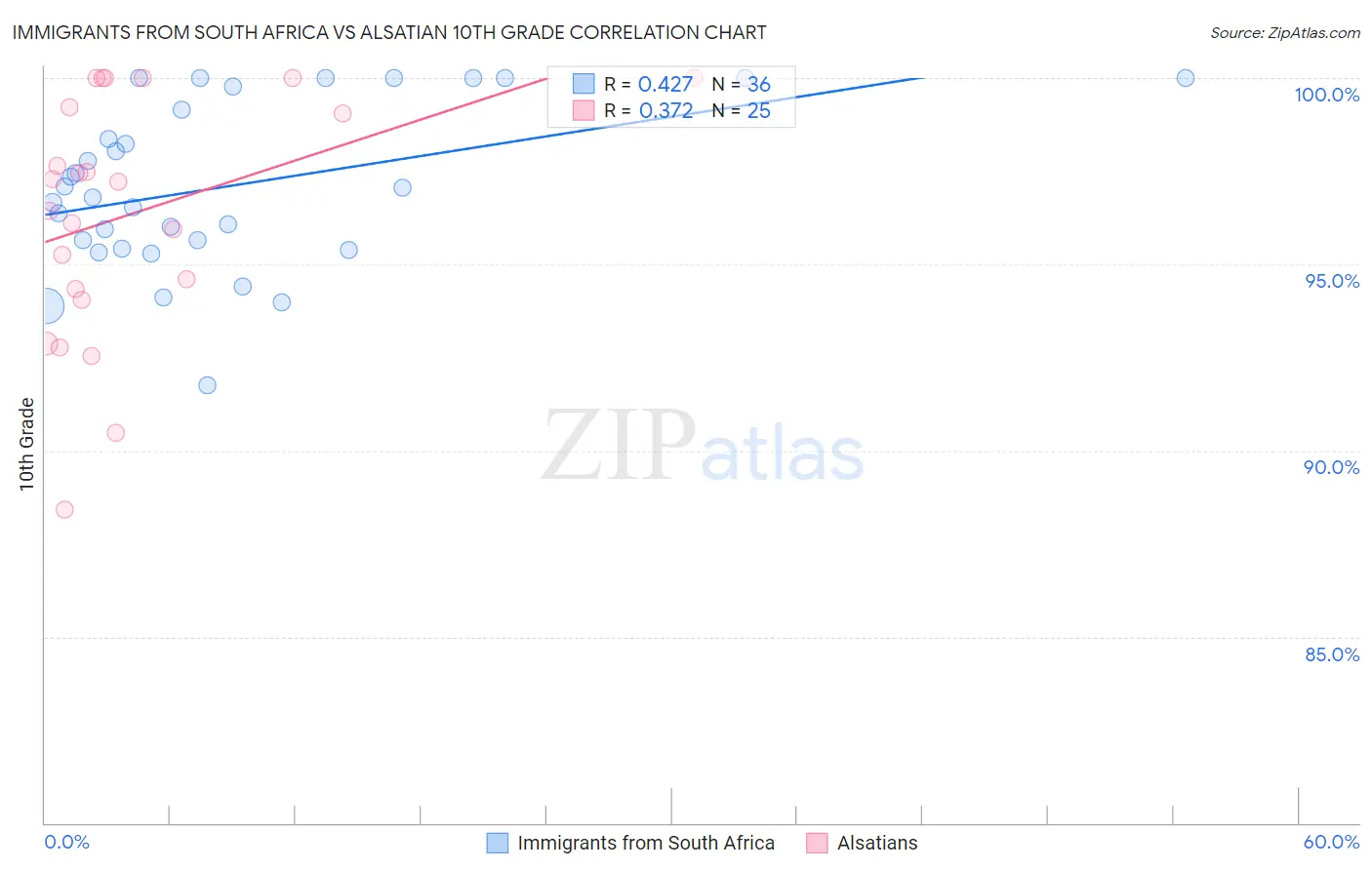 Immigrants from South Africa vs Alsatian 10th Grade
