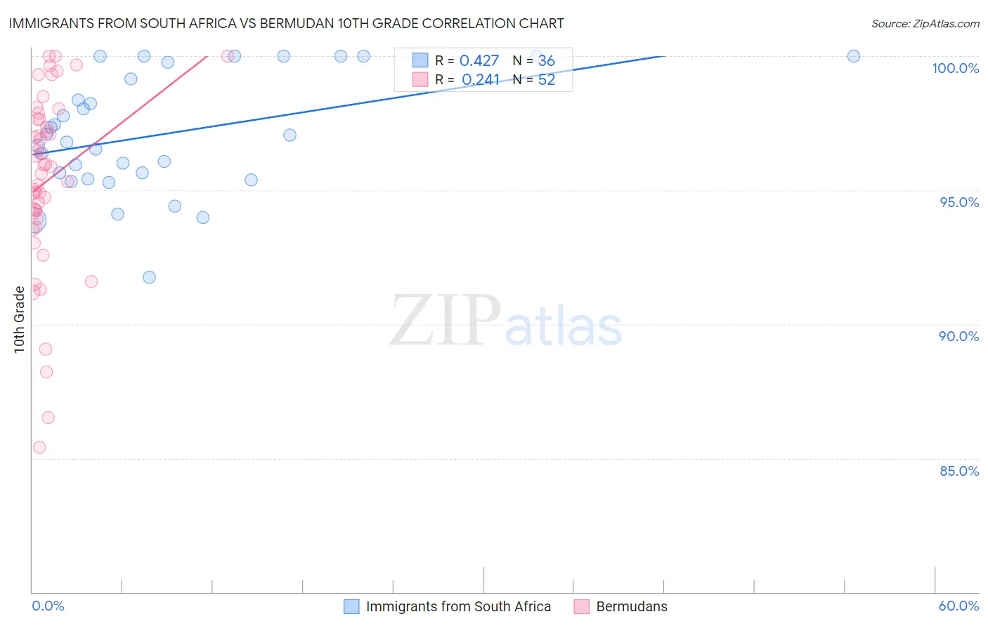 Immigrants from South Africa vs Bermudan 10th Grade