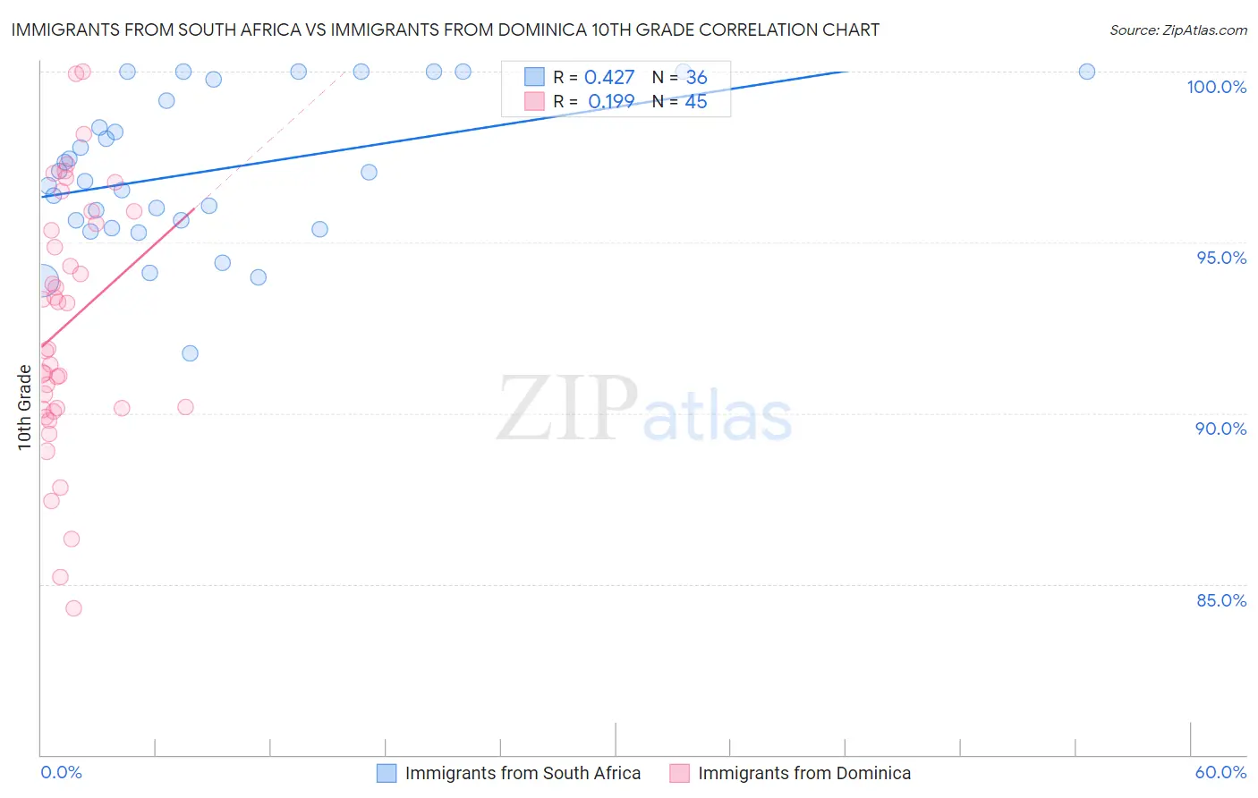 Immigrants from South Africa vs Immigrants from Dominica 10th Grade