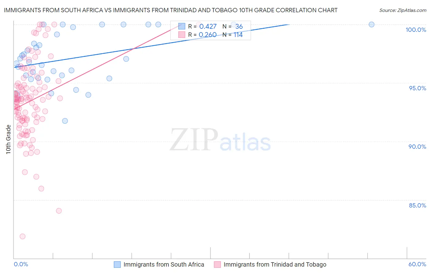 Immigrants from South Africa vs Immigrants from Trinidad and Tobago 10th Grade