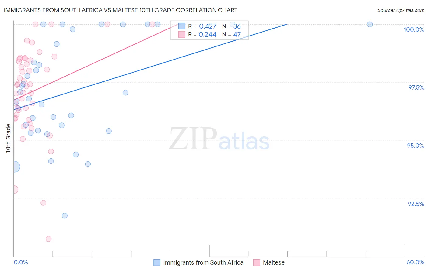 Immigrants from South Africa vs Maltese 10th Grade