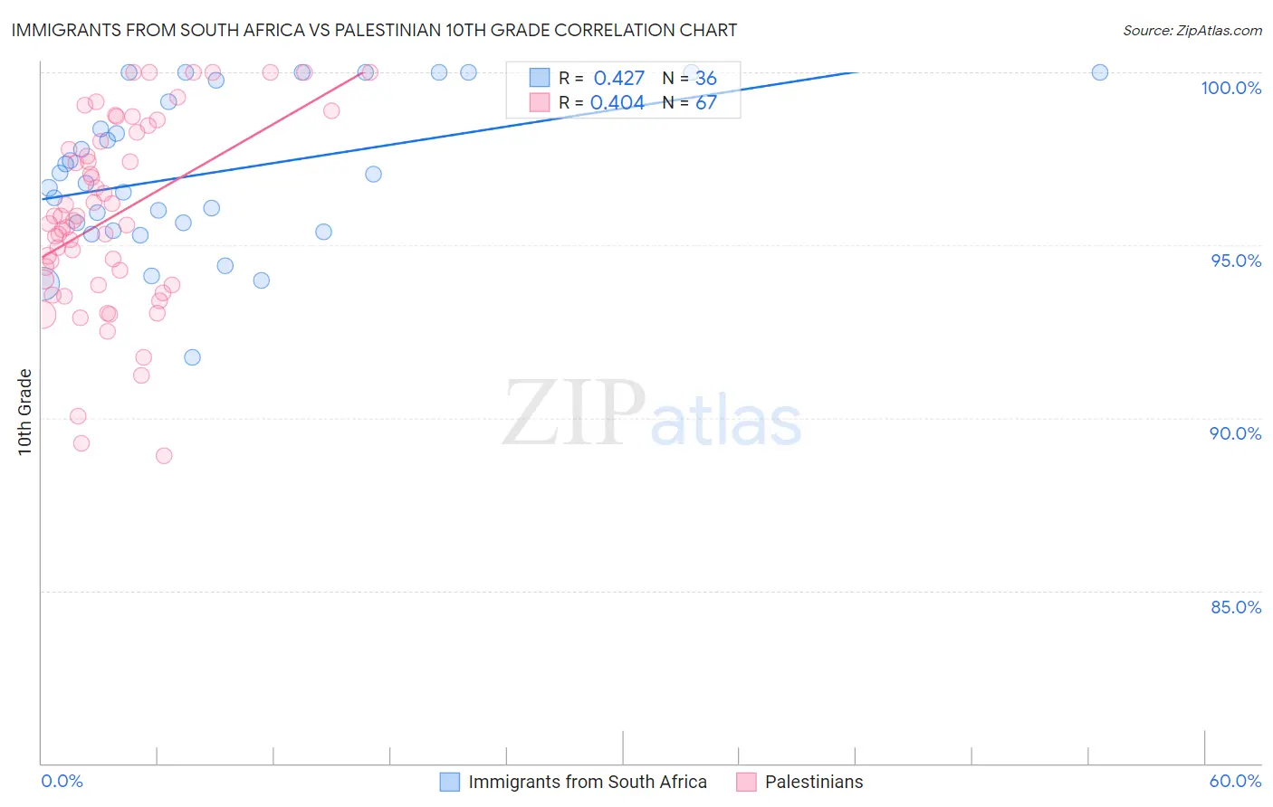 Immigrants from South Africa vs Palestinian 10th Grade