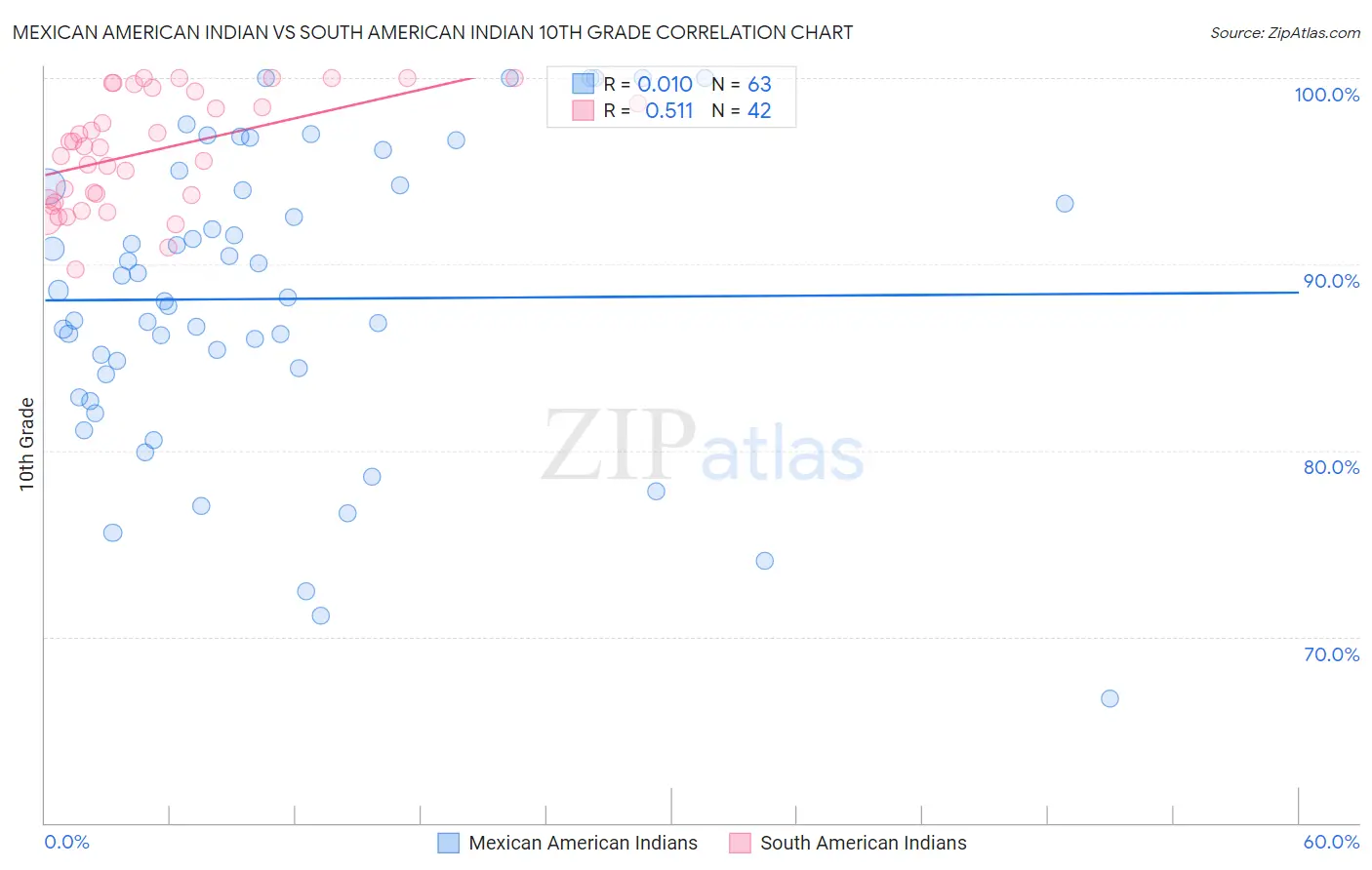 Mexican American Indian vs South American Indian 10th Grade