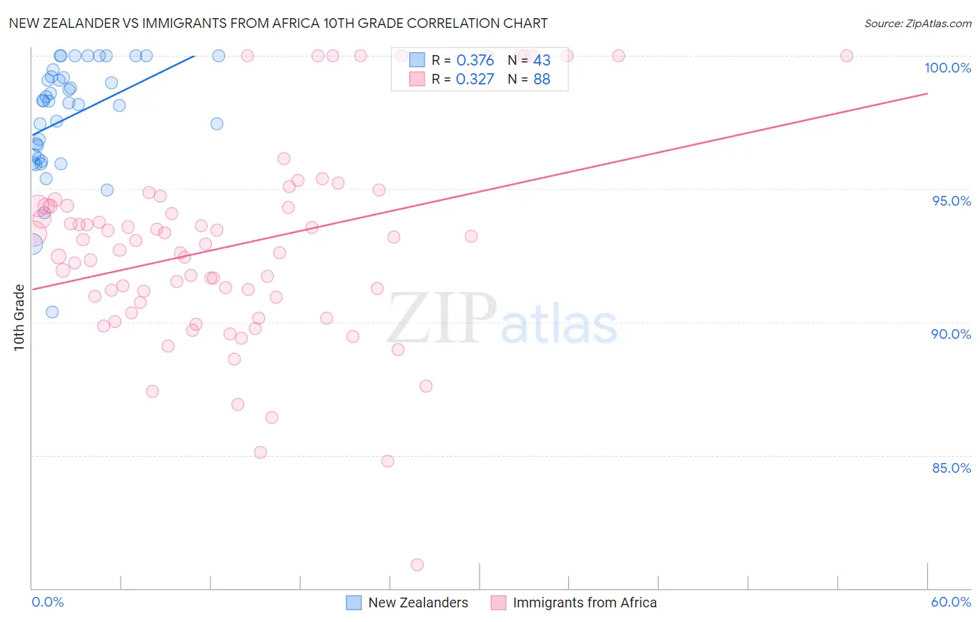 New Zealander vs Immigrants from Africa 10th Grade