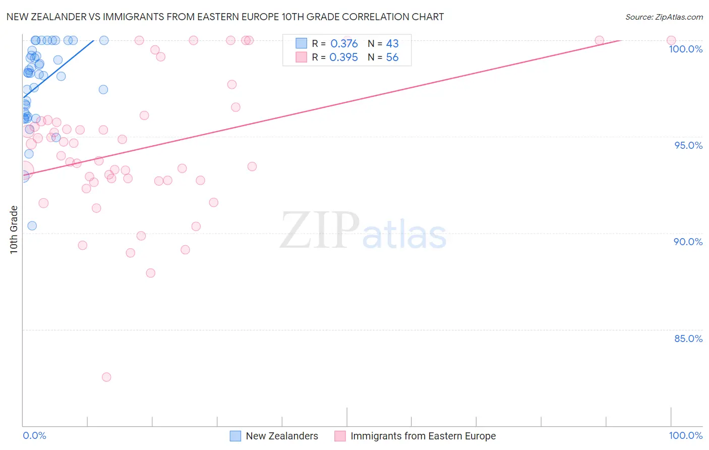 New Zealander vs Immigrants from Eastern Europe 10th Grade