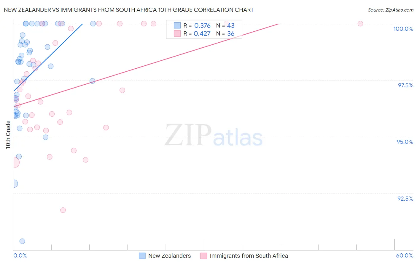 New Zealander vs Immigrants from South Africa 10th Grade