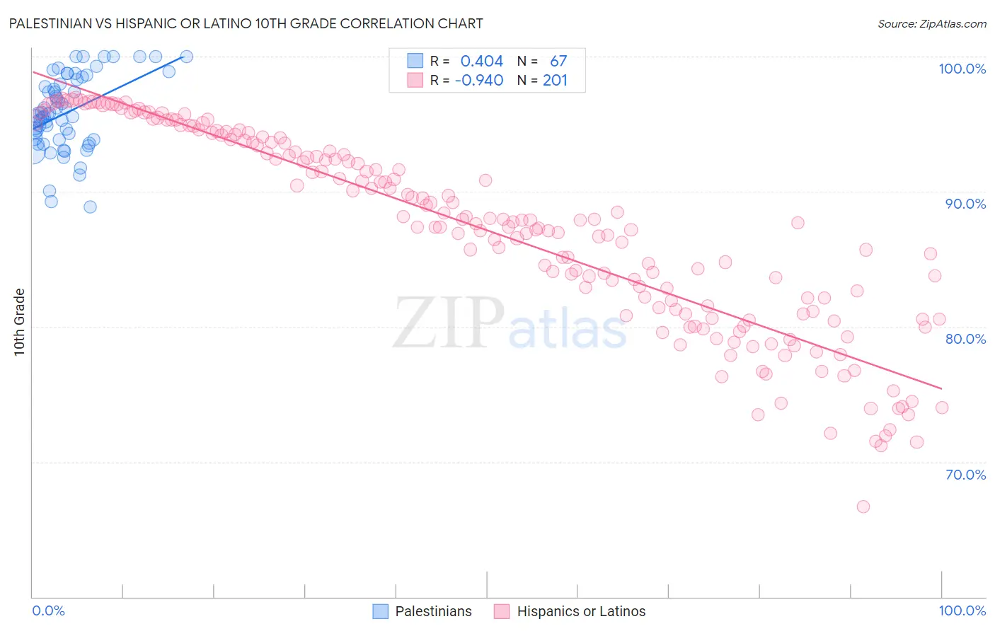 Palestinian vs Hispanic or Latino 10th Grade