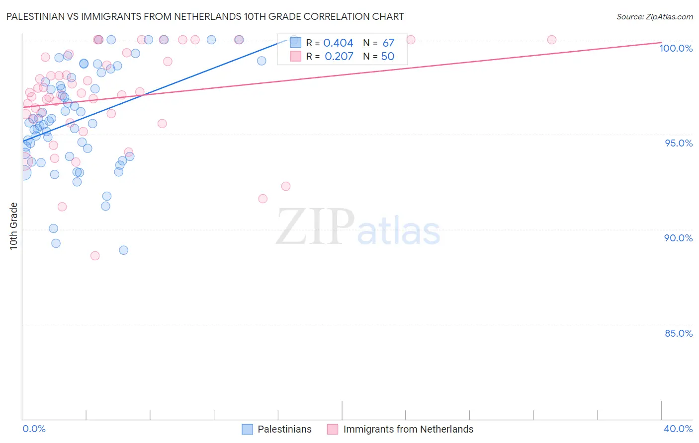 Palestinian vs Immigrants from Netherlands 10th Grade