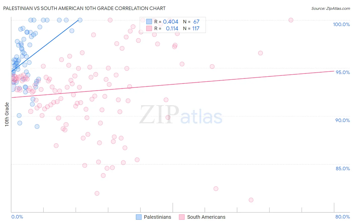 Palestinian vs South American 10th Grade