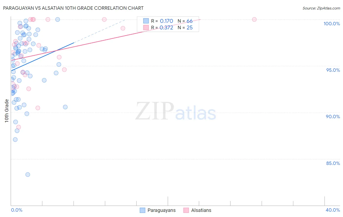Paraguayan vs Alsatian 10th Grade