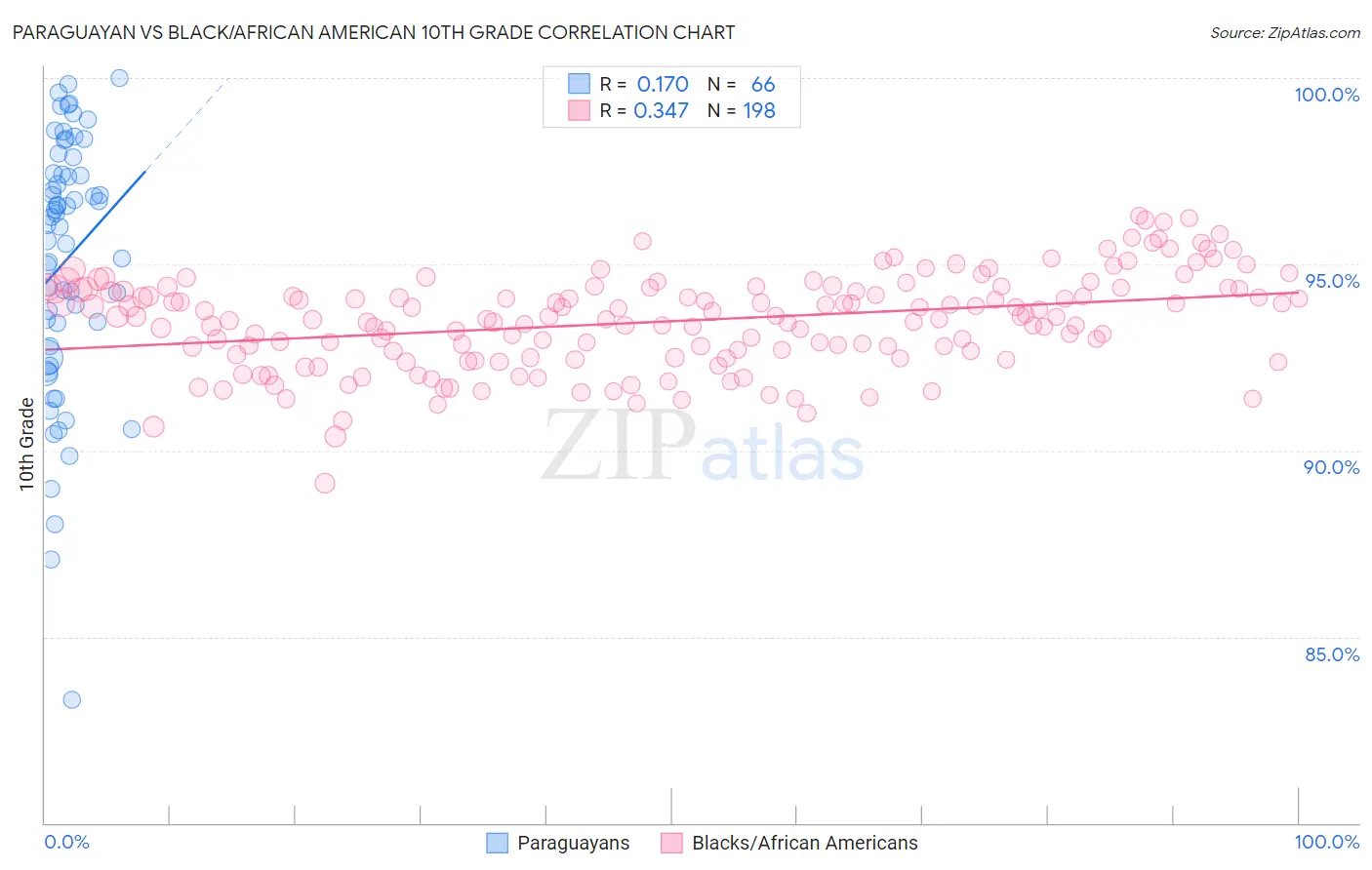 Paraguayan vs Black/African American 10th Grade