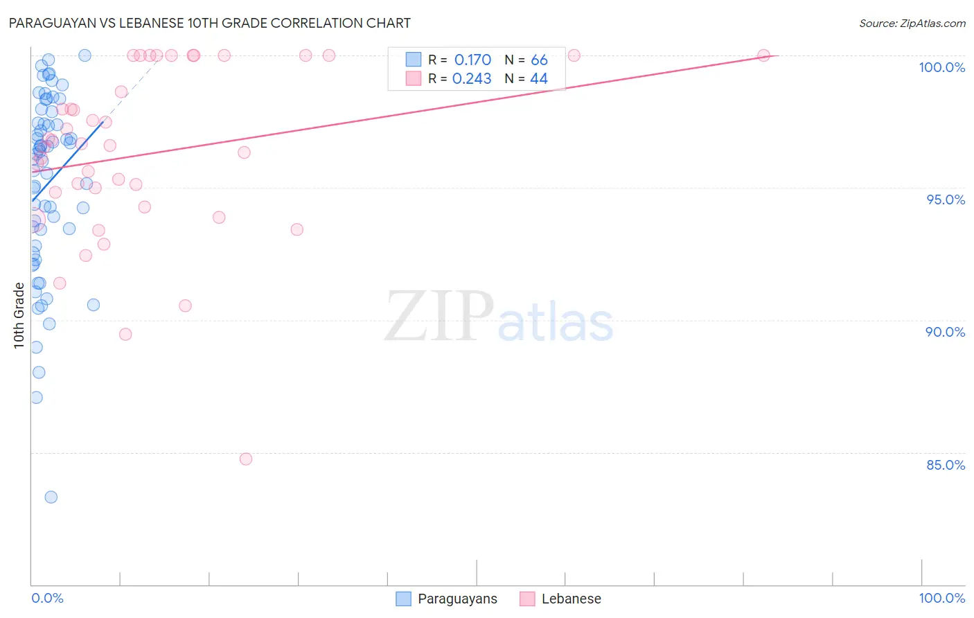 Paraguayan vs Lebanese 10th Grade