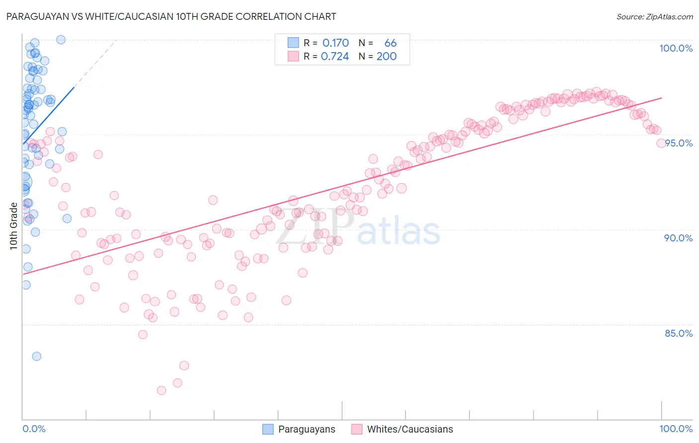 Paraguayan vs White/Caucasian 10th Grade