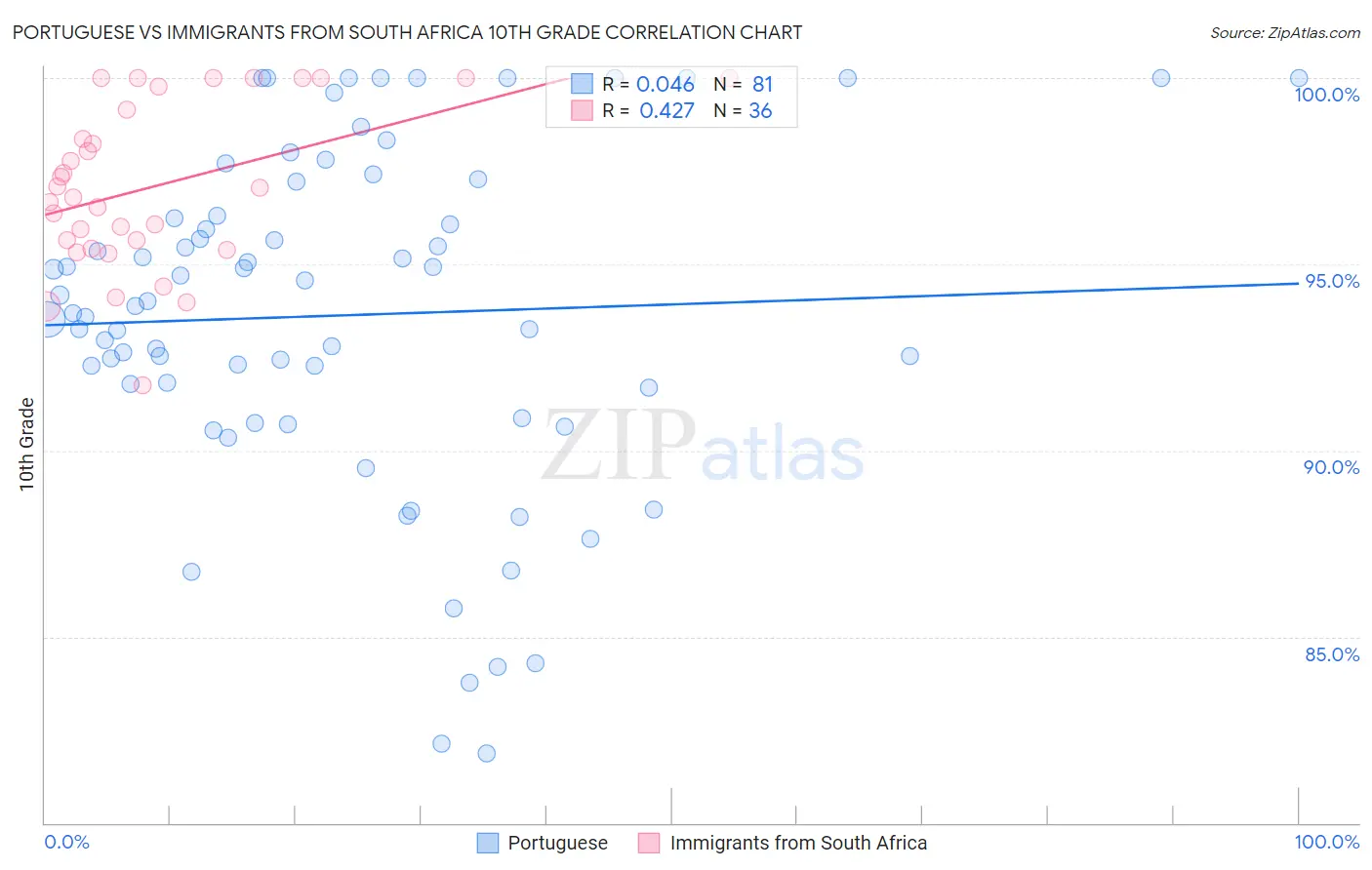 Portuguese vs Immigrants from South Africa 10th Grade