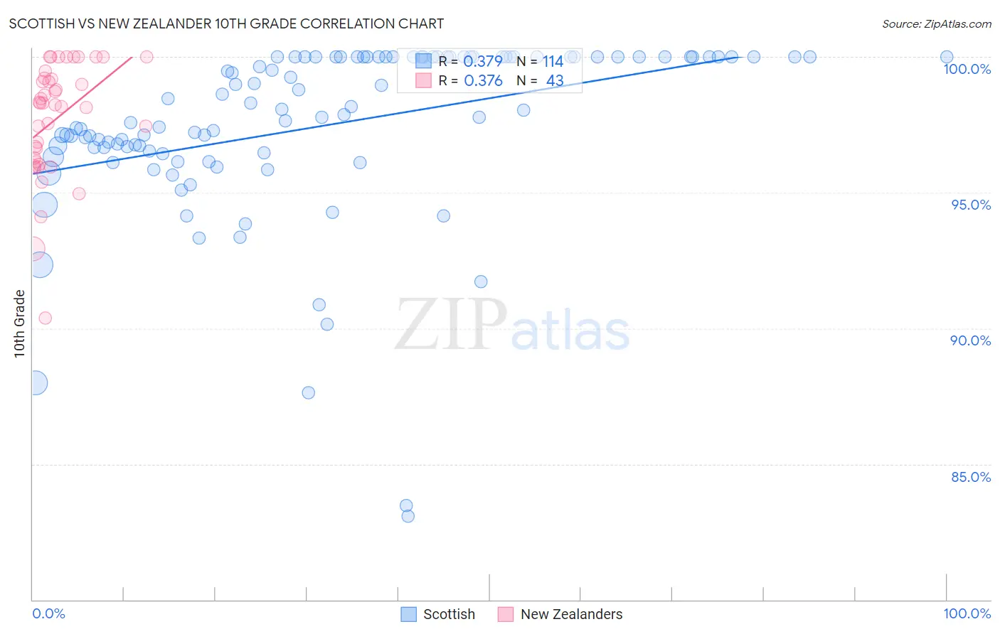 Scottish vs New Zealander 10th Grade