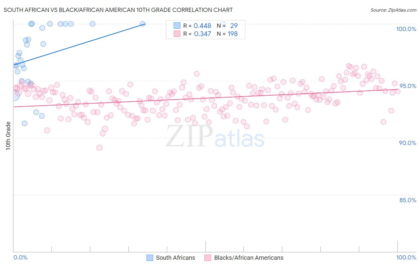 South African vs Black/African American 10th Grade