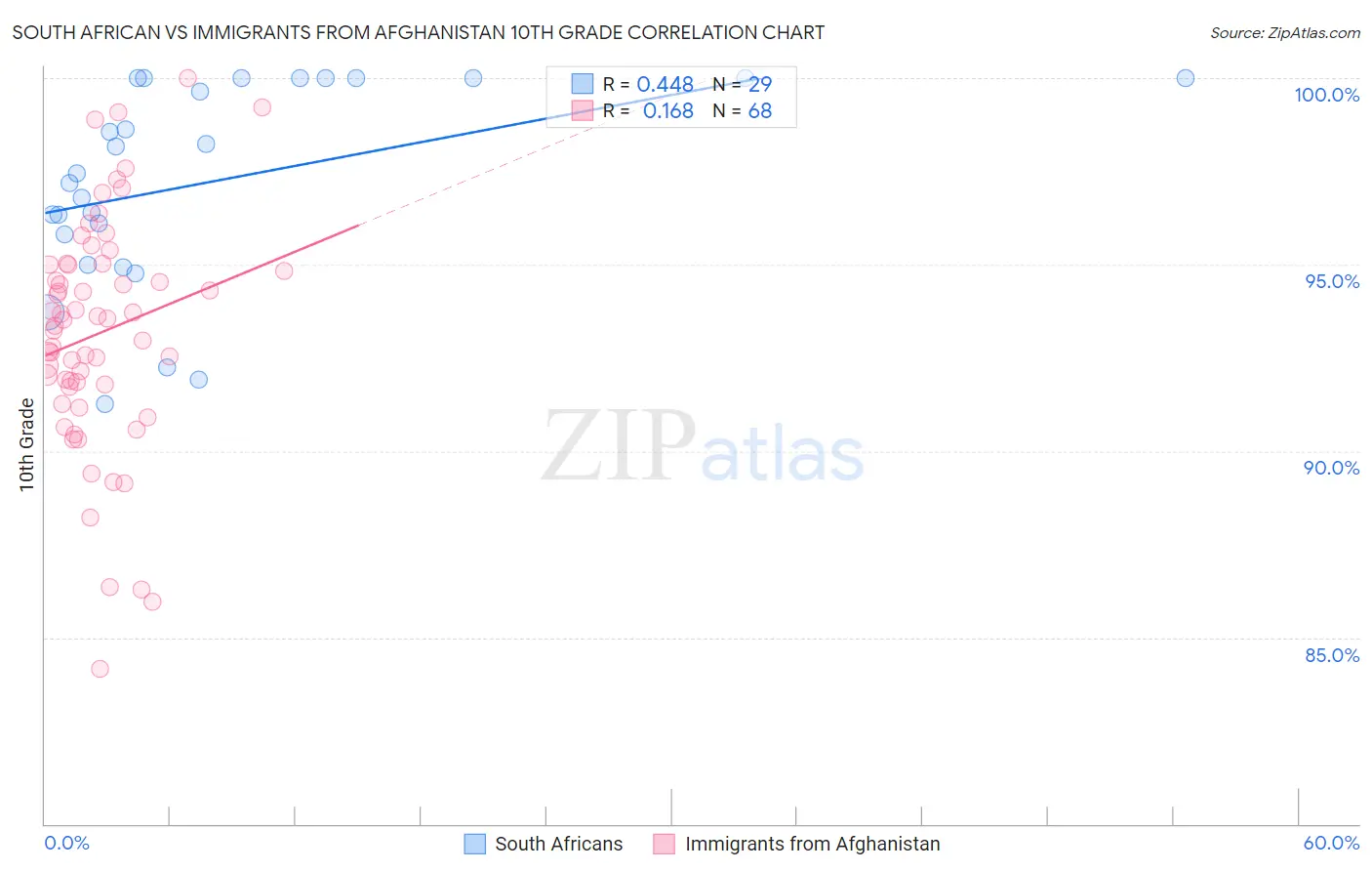 South African vs Immigrants from Afghanistan 10th Grade