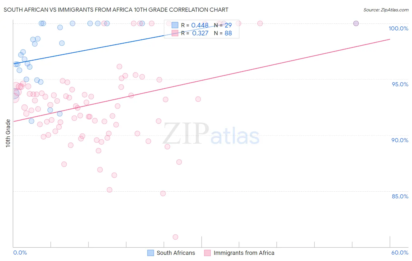 South African vs Immigrants from Africa 10th Grade
