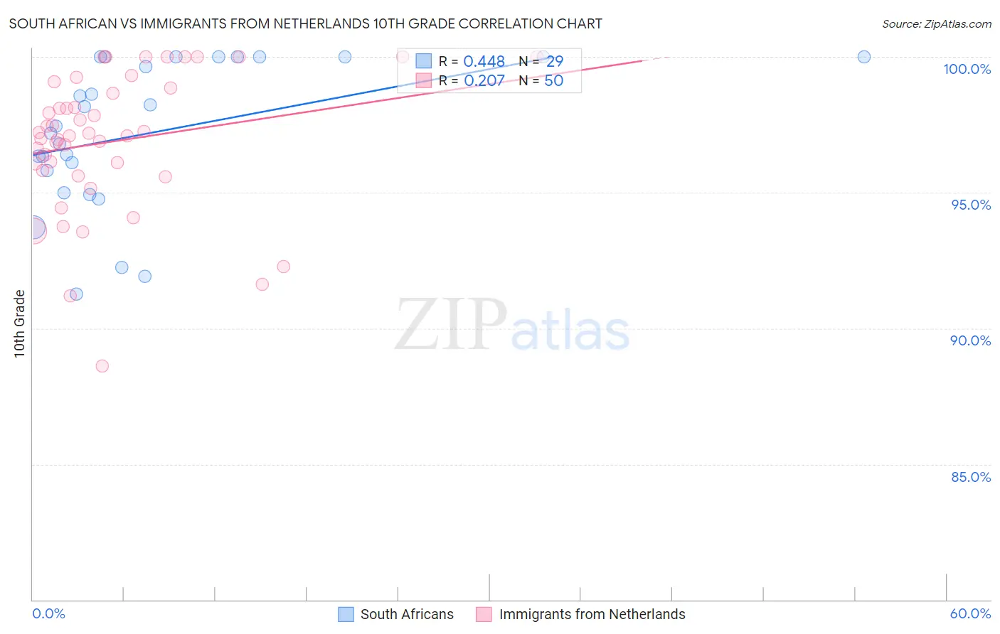 South African vs Immigrants from Netherlands 10th Grade