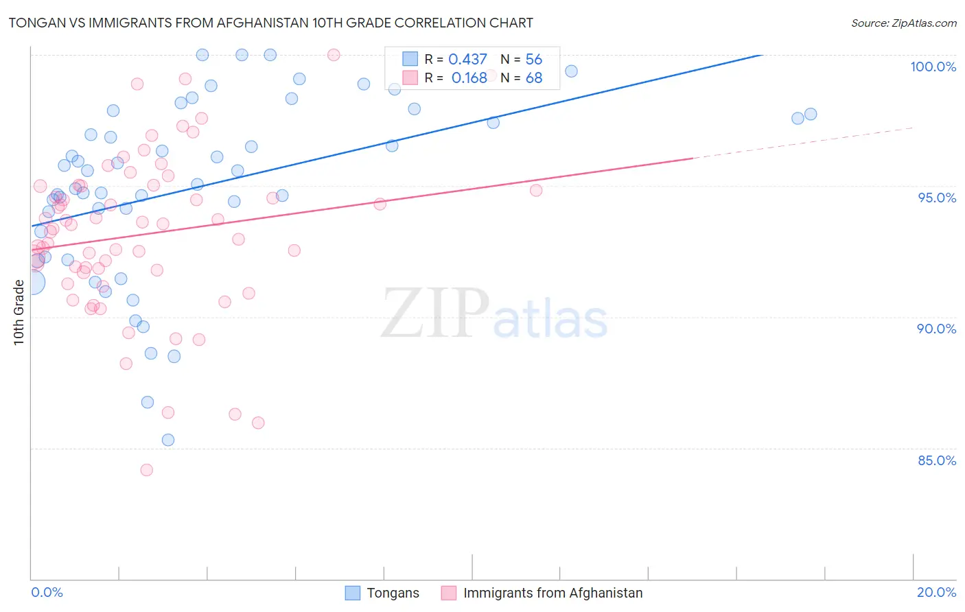 Tongan vs Immigrants from Afghanistan 10th Grade