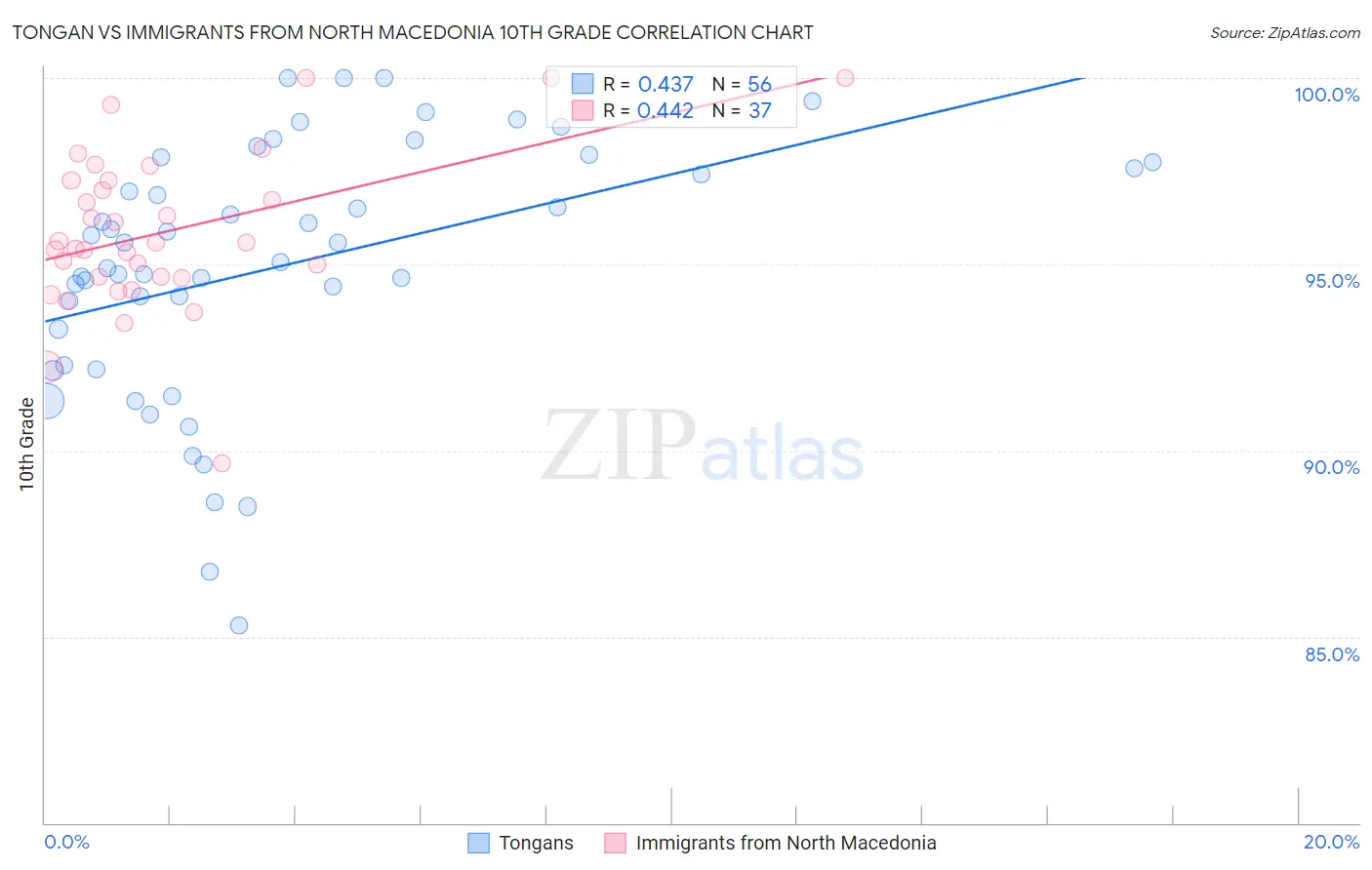 Tongan vs Immigrants from North Macedonia 10th Grade