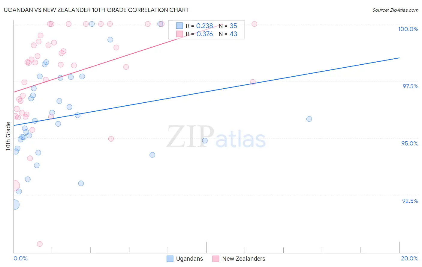 Ugandan vs New Zealander 10th Grade