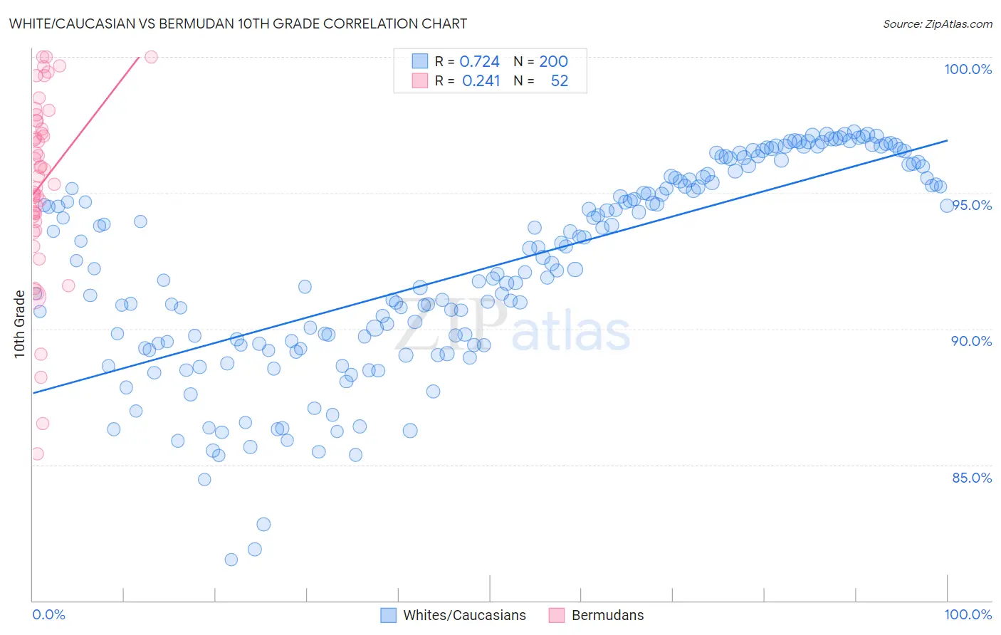 White/Caucasian vs Bermudan 10th Grade