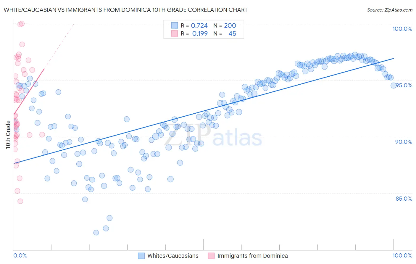 White/Caucasian vs Immigrants from Dominica 10th Grade