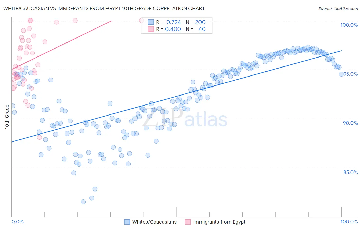 White/Caucasian vs Immigrants from Egypt 10th Grade
