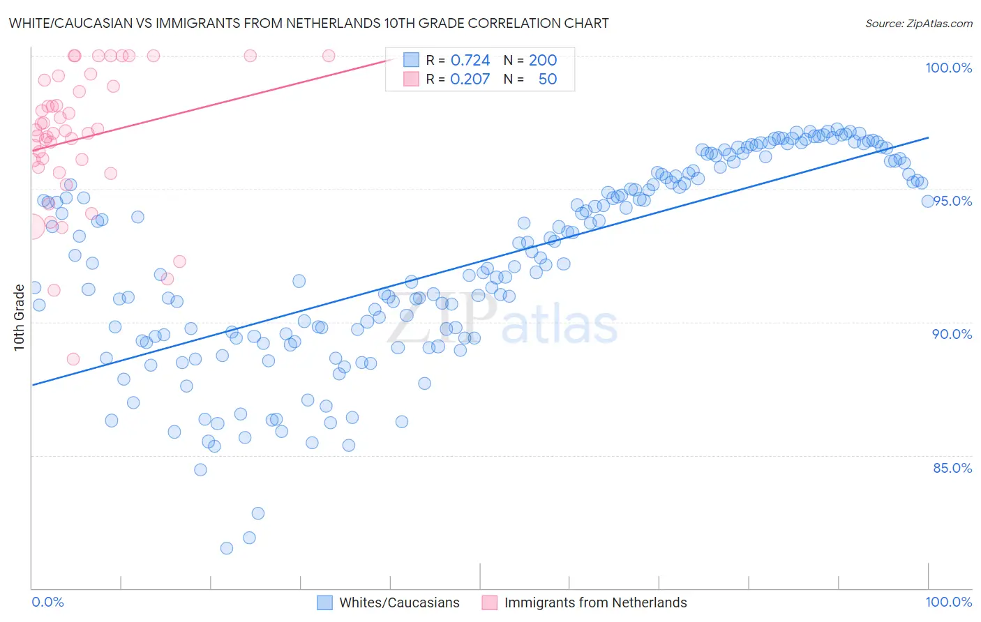 White/Caucasian vs Immigrants from Netherlands 10th Grade