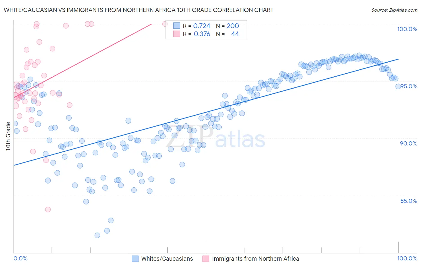 White/Caucasian vs Immigrants from Northern Africa 10th Grade
