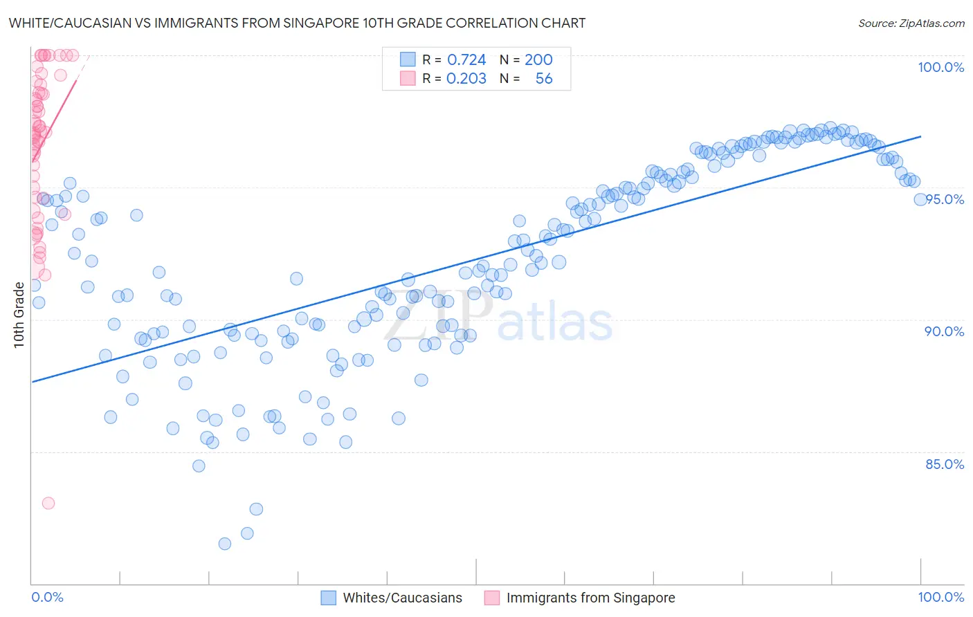 White/Caucasian vs Immigrants from Singapore 10th Grade