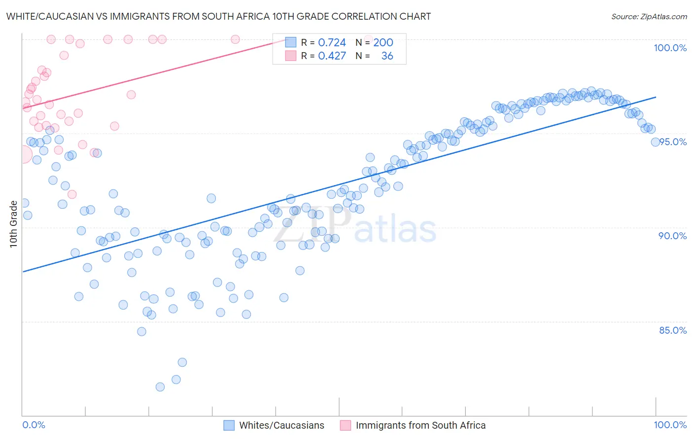 White/Caucasian vs Immigrants from South Africa 10th Grade