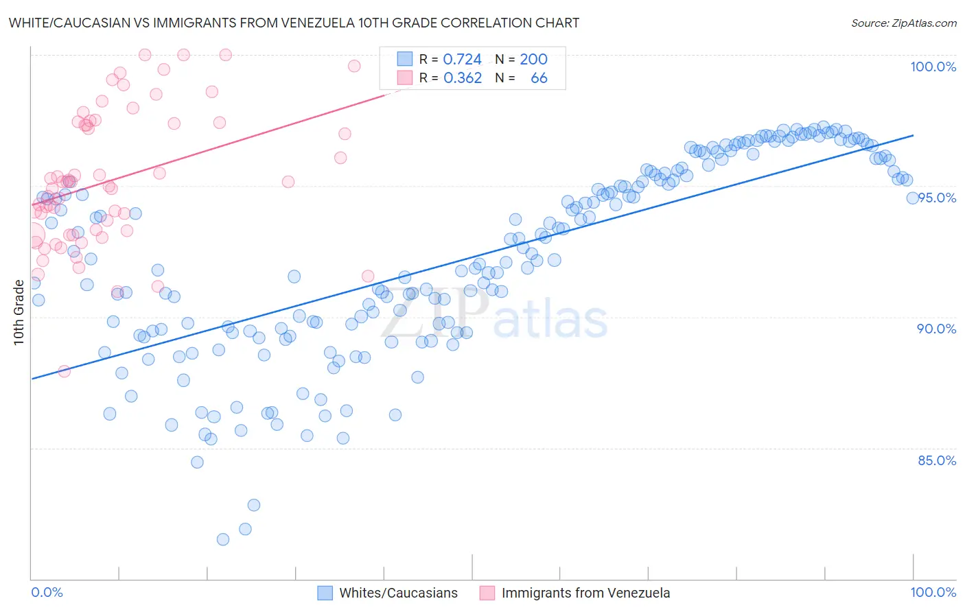 White/Caucasian vs Immigrants from Venezuela 10th Grade