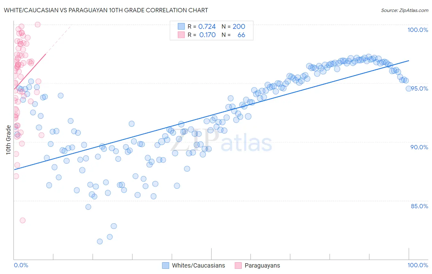 White/Caucasian vs Paraguayan 10th Grade