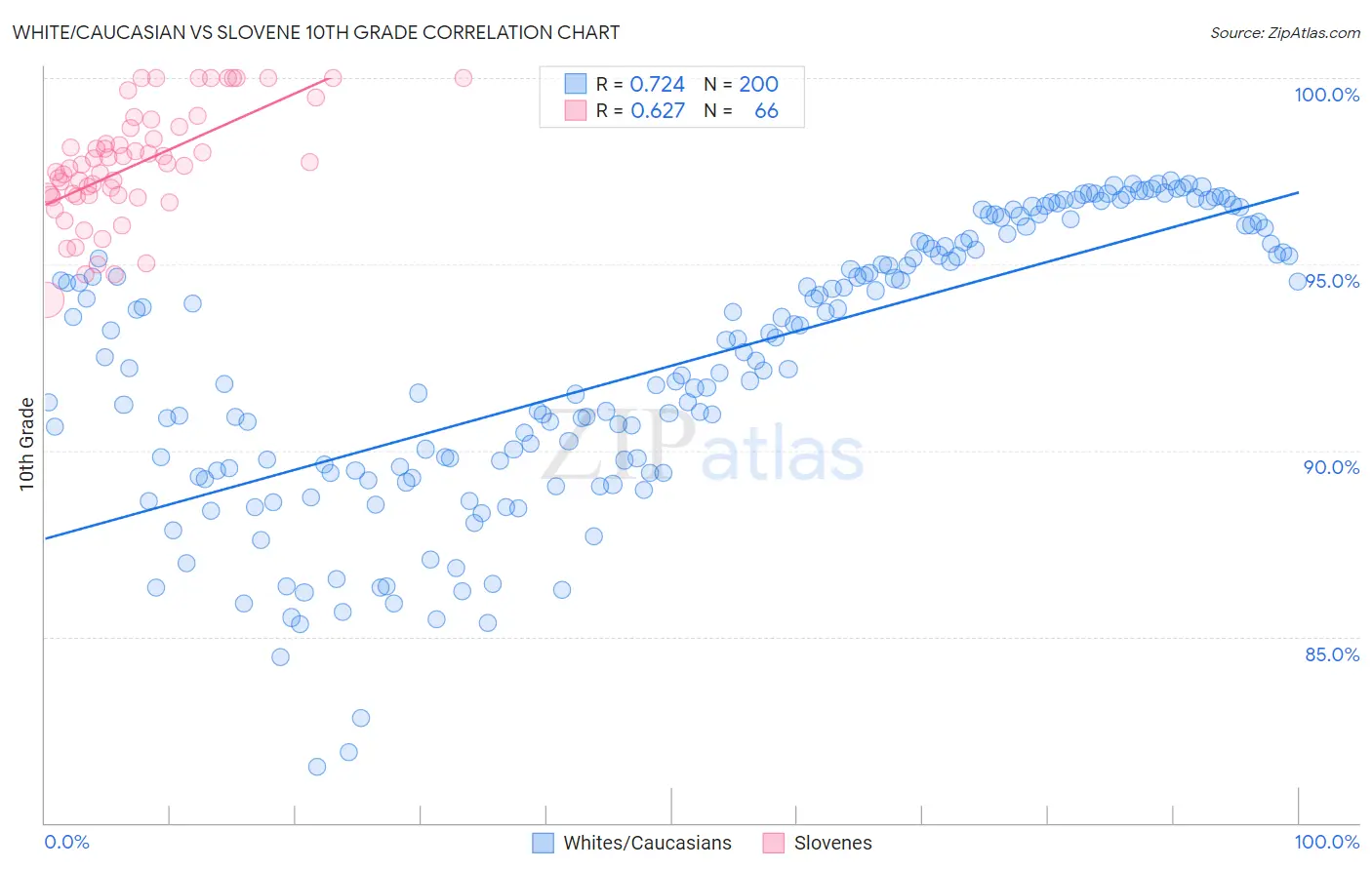 White/Caucasian vs Slovene 10th Grade
