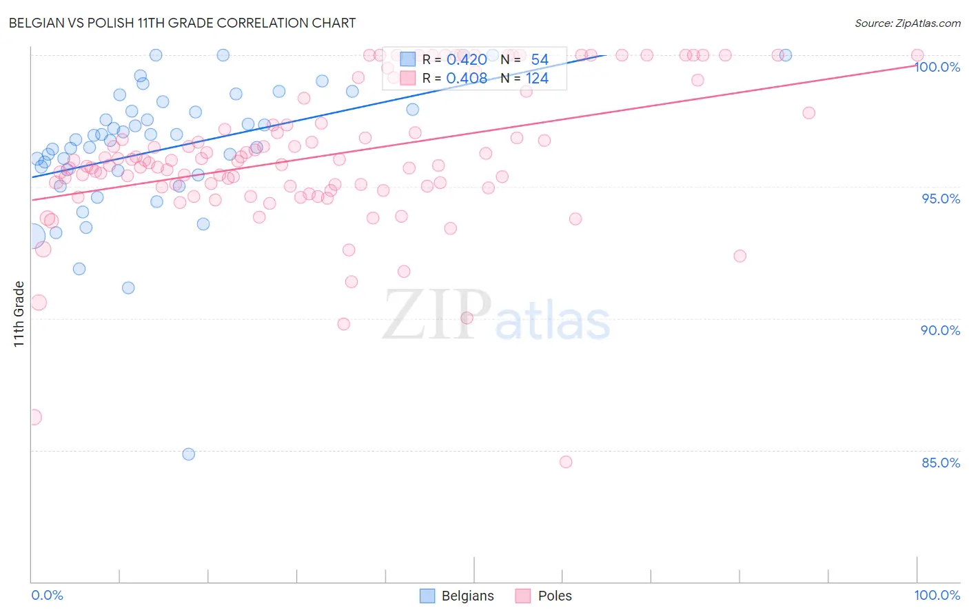 Belgian vs Polish 11th Grade